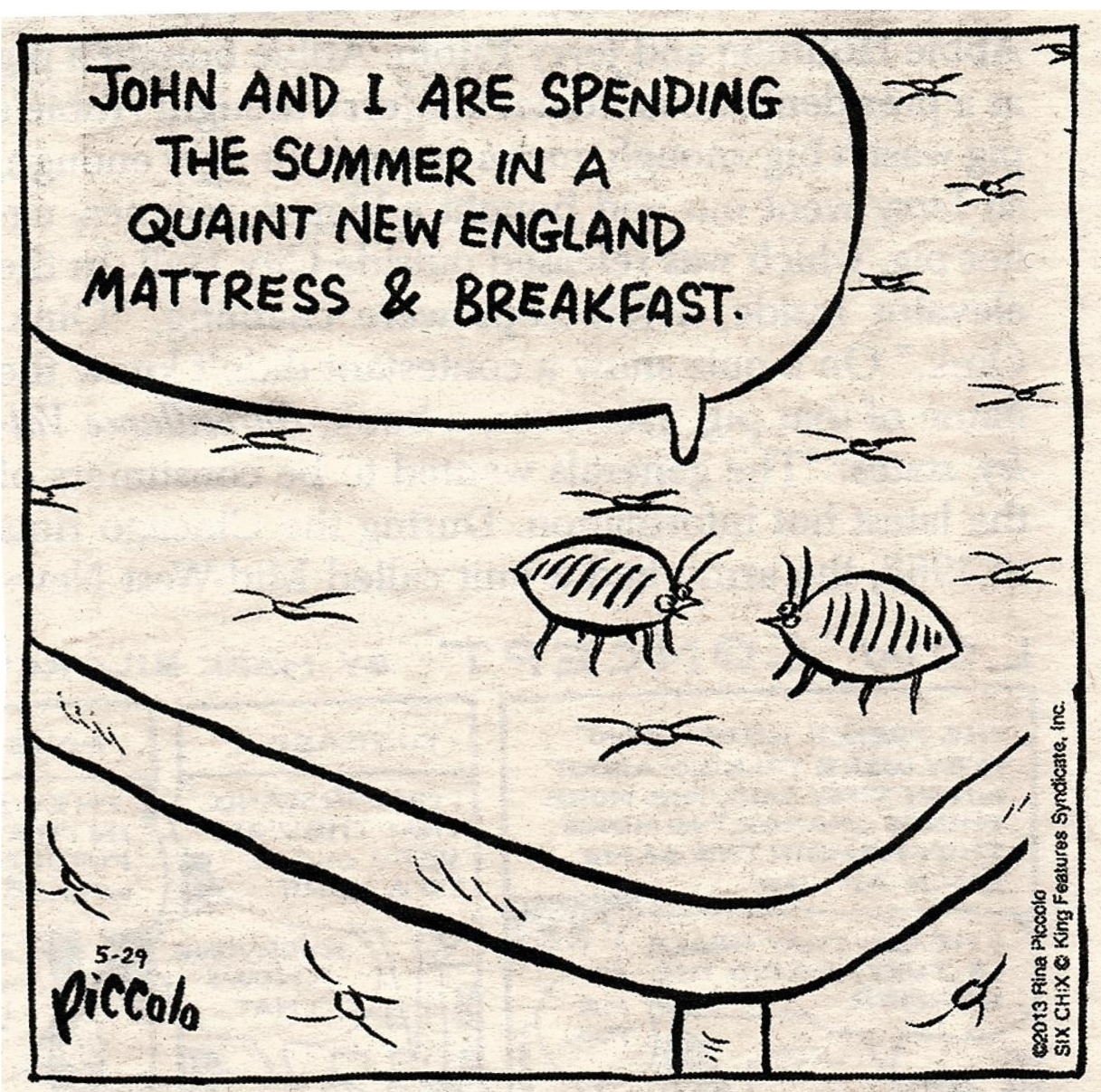 Bed bug vacation